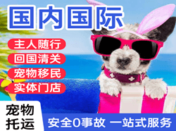 阿拉善左旗巴彦浩特机场物流国际宠物托运 【国